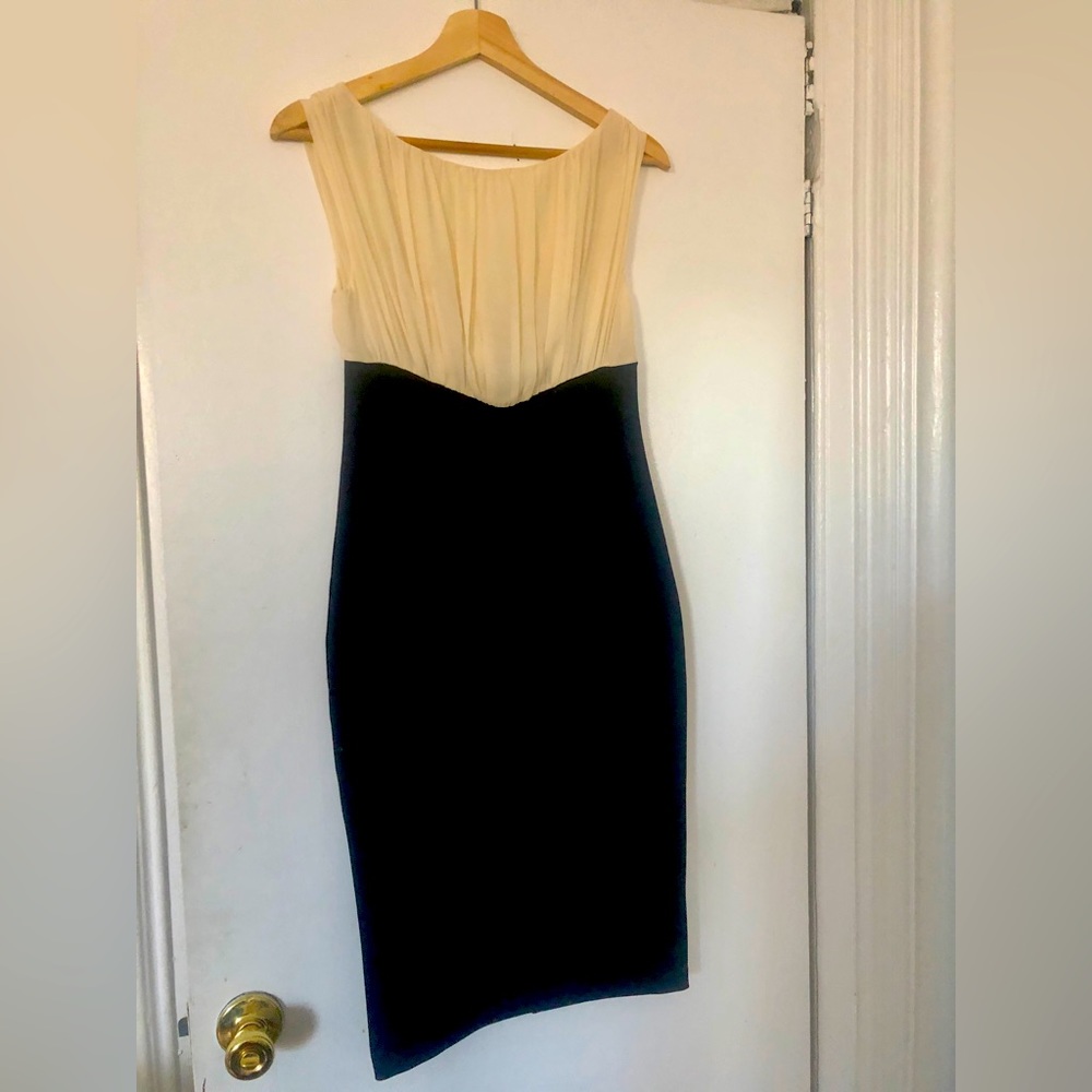 Ted Baker elegant cocktail dress- never worn.